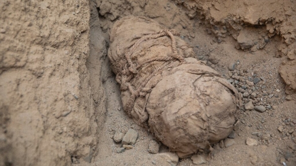 Мумии детей из могилы связанного мужчины могли быть жертвами страшного ритуала