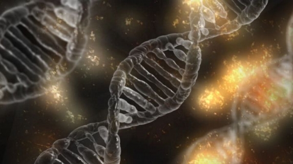 Геном человека наконец расшифрован полностью