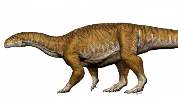 Найден "дракон смерти" — крупнейший птерозавр Южной Америки