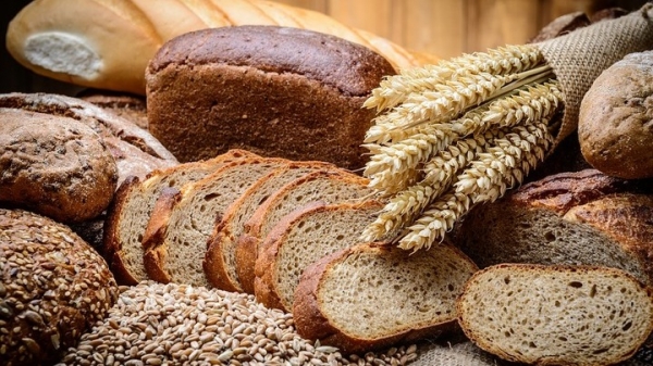Всем хватит: РЗС озвучил прогноз на урожай пшеницы