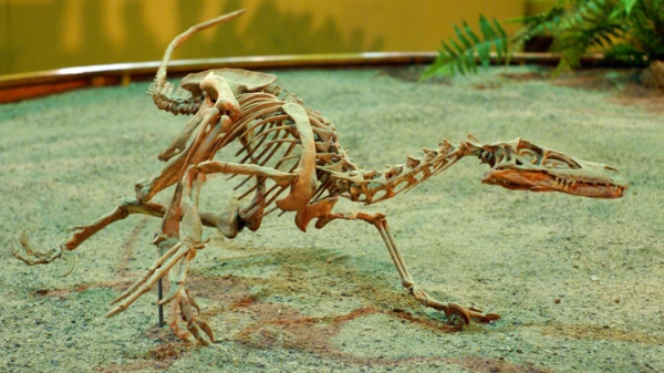 Попрыгать в следе гигантского ленивца: как развлекались дети 11 500 лет назад
