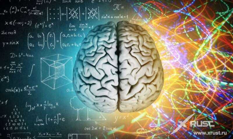 Мозг ассиметричен – почему?