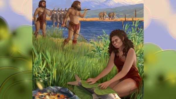 Люди научились готовить на 600 тысяч лет раньше, чем считалось