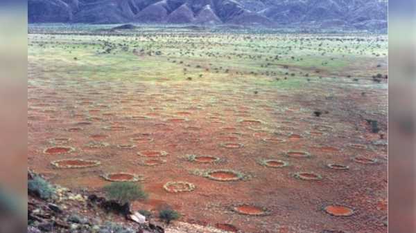 Откуда в африканской пустыне берутся загадочные ведьмины круги?