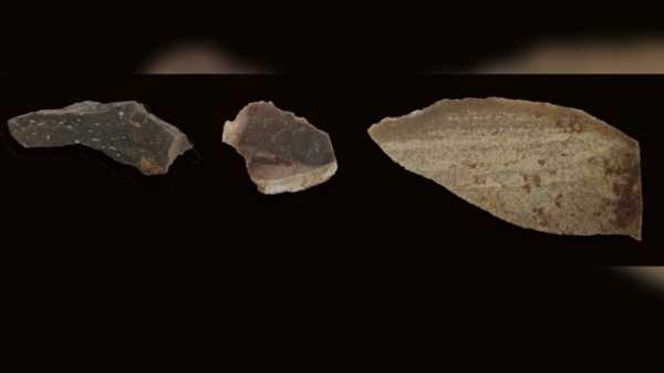 Обсидиановую мастерскую возрастом 1,2 миллиона лет нашли археологи в Эфиопии
