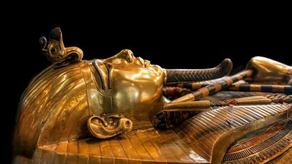 Неделя в науке: могила члена царской семьи Древнего Египта и клонированный теленок