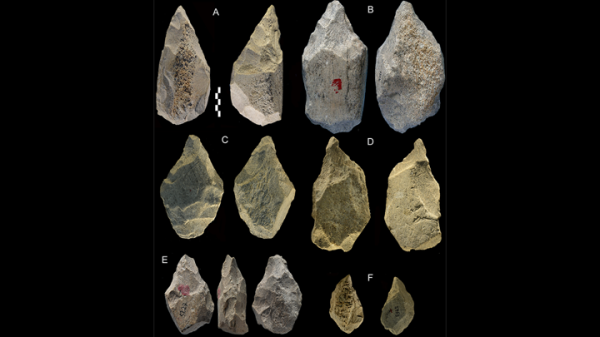 Обсидиановую мастерскую возрастом 1,2 миллиона лет нашли археологи в Эфиопии