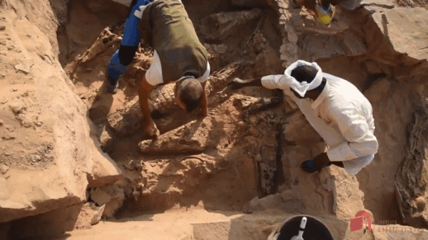 Как живые: 10 мумий крокодилов найдены в Египте