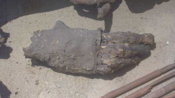 Как живые: 10 мумий крокодилов найдены в Египте