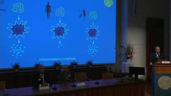 МФТИ: открытие нобелевских лауреатов защищает РНК-вакцины от быстрого разрушения