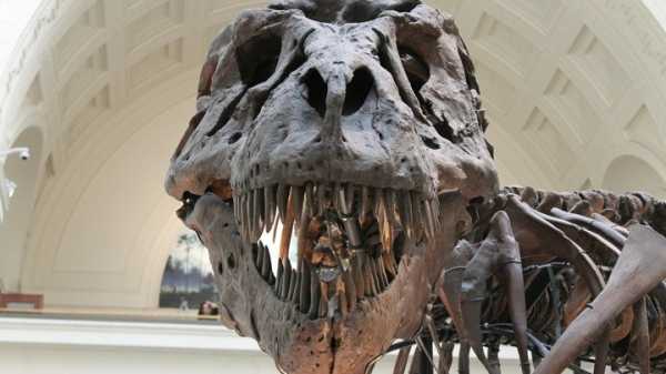 Канадские ученые обнаружили в тираннозавре "киндер-сюрприз"